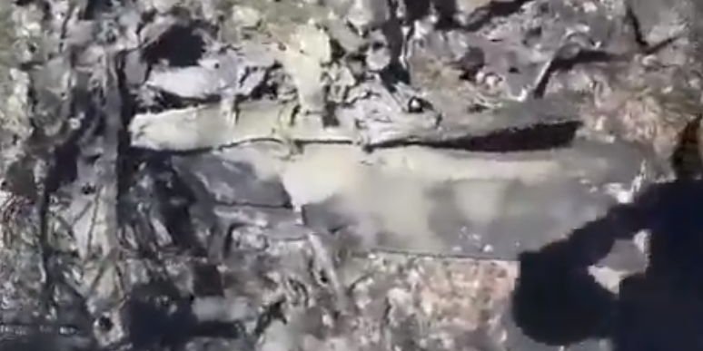 Пілот збитого літака загинув (Фото: Скріншот з відео Mohamad Rasheed / Twitter)