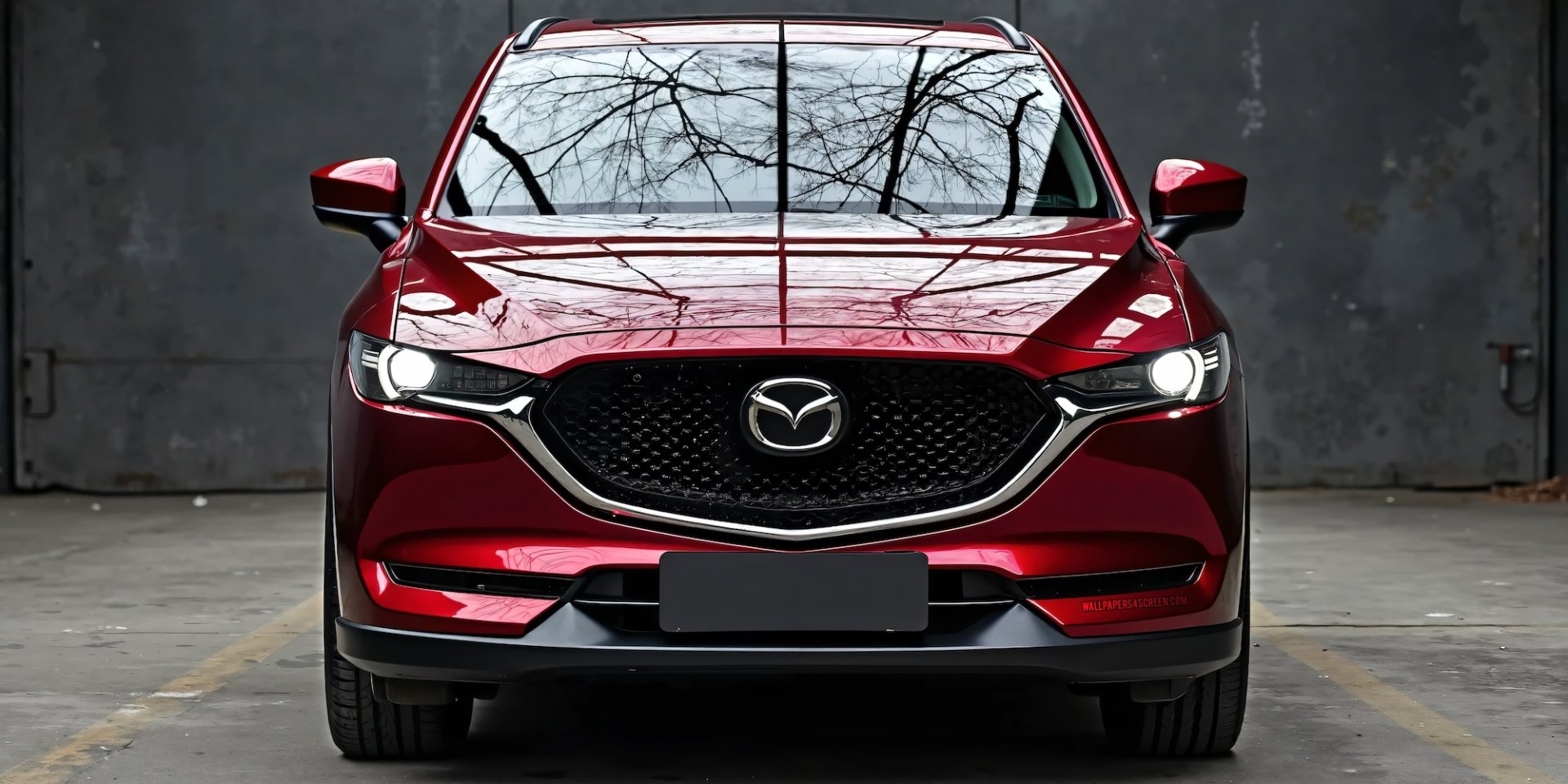 Тест-драйв Mazda CX-5 (Фото: Mazda)