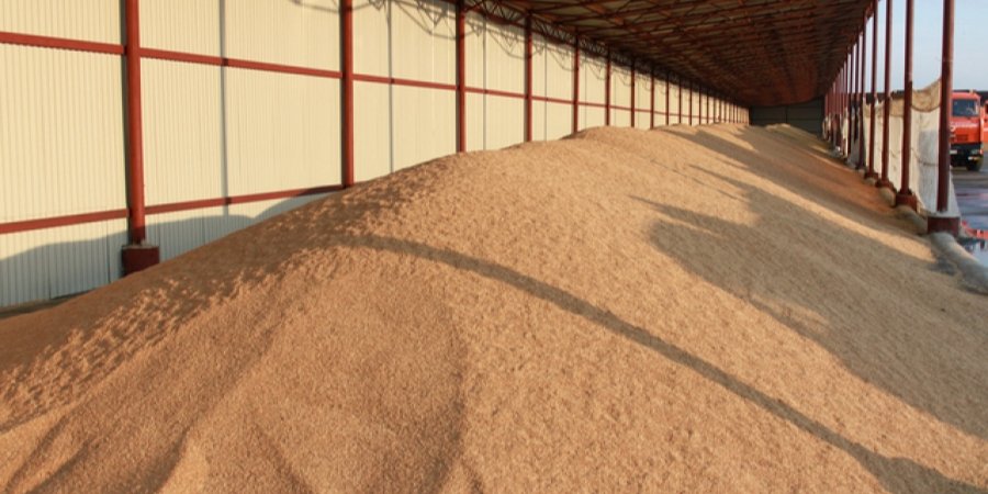 Ukraine cannot export grain as ports are blocked (Photo: rezerv.gov.ua)