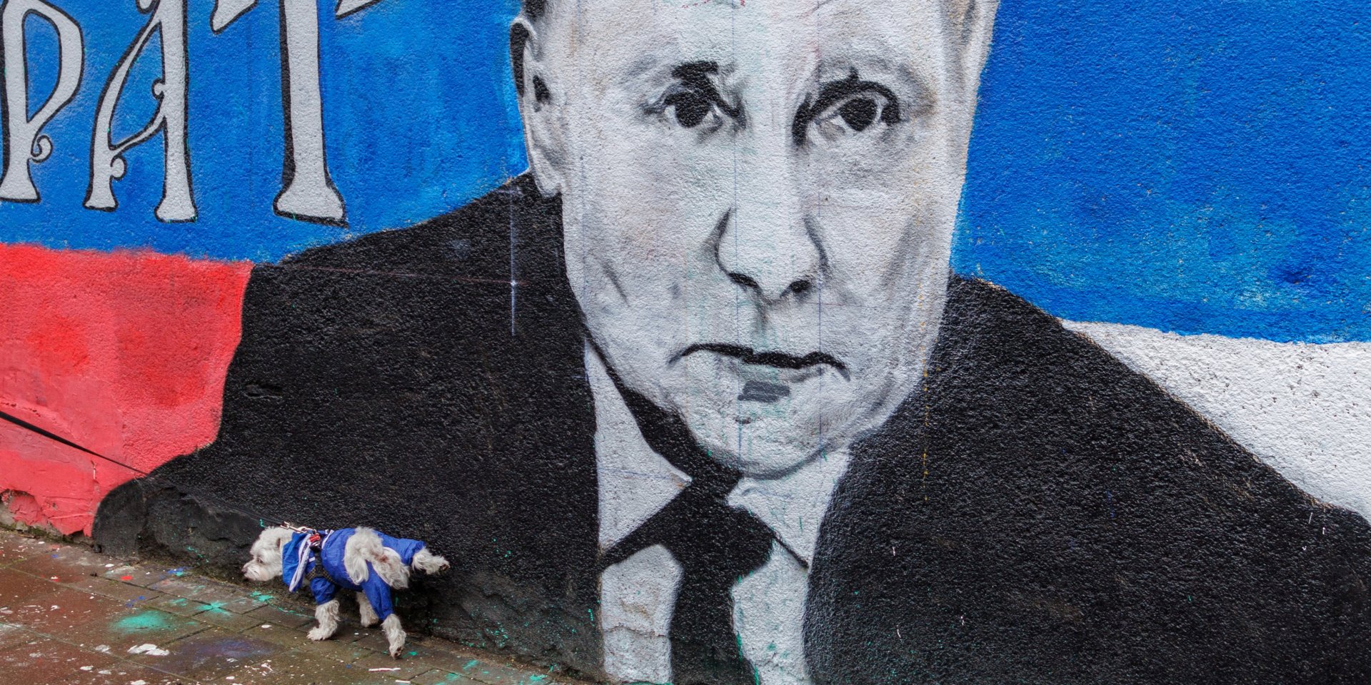 A dog pees on a mural of Vladimir Putin in Serbia on April 2. (Photo: REUTERS/Antonio Bronic)