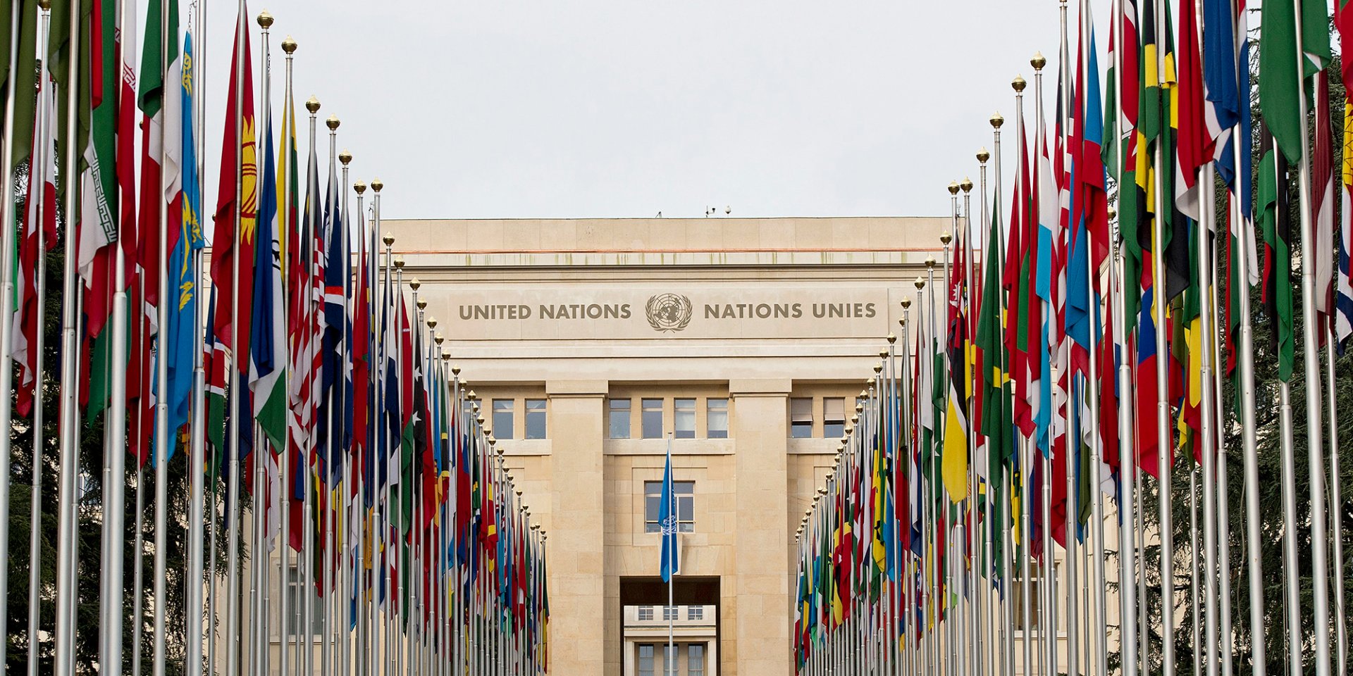 The flags of 193 UN member states fly in front of the entrance to the Palais des Nations in Geneva, where the institutions of this organization are located (Photo: Jean-Marc / UN&nbsp;Photo)