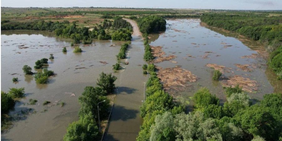 About 55 thousand hectares of forests in Kherson region flooded due to the explosion of the Kakhovka HPP (Photo: Photo: MOST)