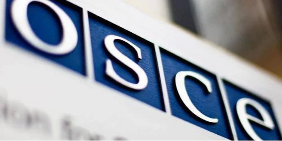 Russia has blocked the appointment of Malta as the head of the OSCE for the next year (Photo: OSCE / Facebook)