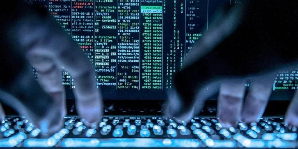 Russian hackers attacked a government agency in the Netherlands. (Photo: Global Look Press / Silas Stein)