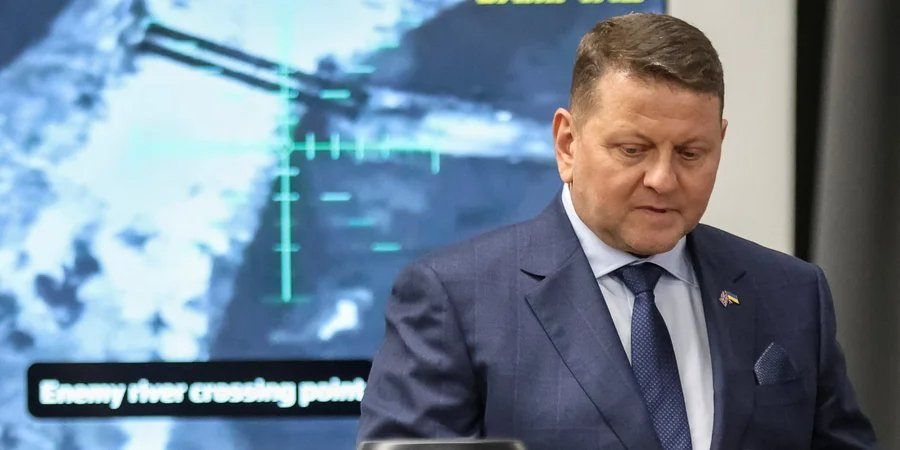 Valeriy Zaluzhnyi (Photo: REUTERS/Oleksandr Ratushniak)