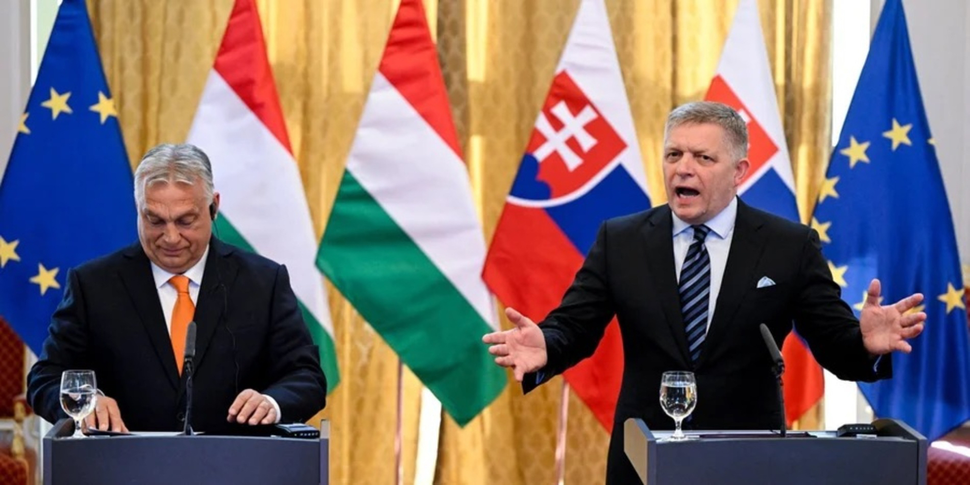Outgoing Hungarian Prime Minister Viktor Orban (left) and Slovakian PM Robert Fico (right) (Photo: REUTERS/Radovan Stoklasa)