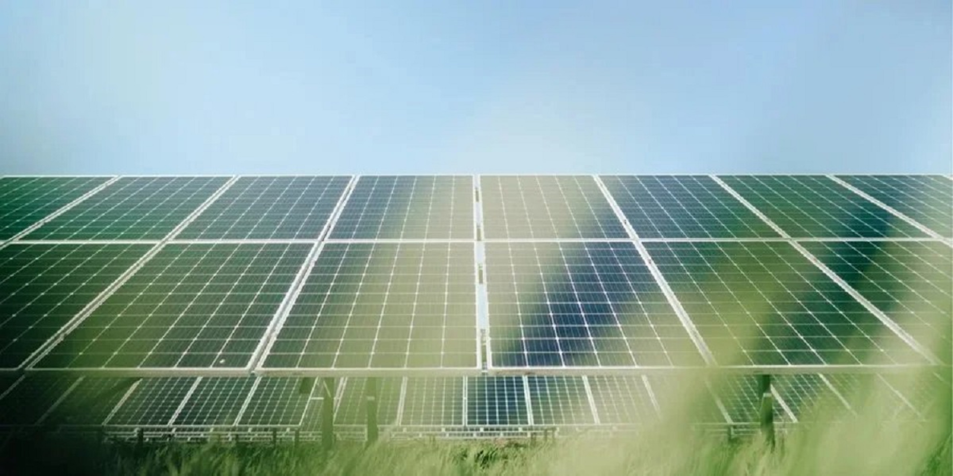 A Saudi company is purchasing four solar power plants in Kyiv Oblast (Photo: Energy Act for Ukraine Foundation)