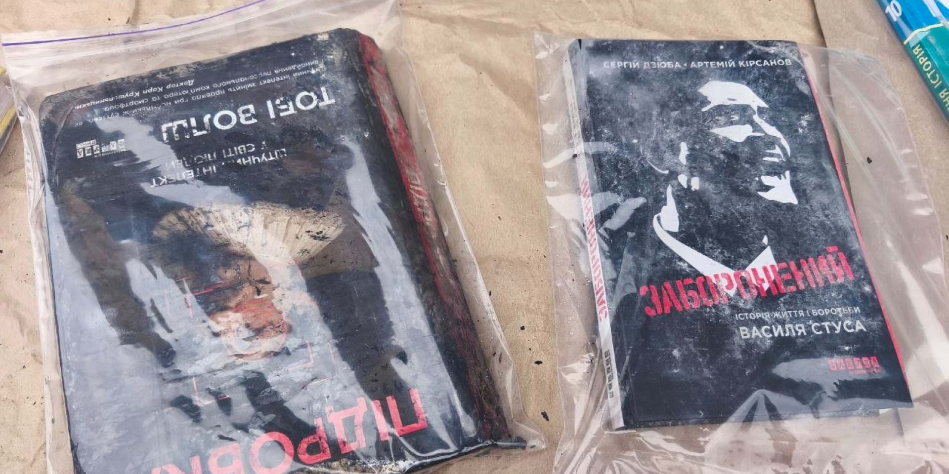 Обгоревшие книги харьковского издательства Фабула (Фото: npzbvnkngchtn/ Telegram)