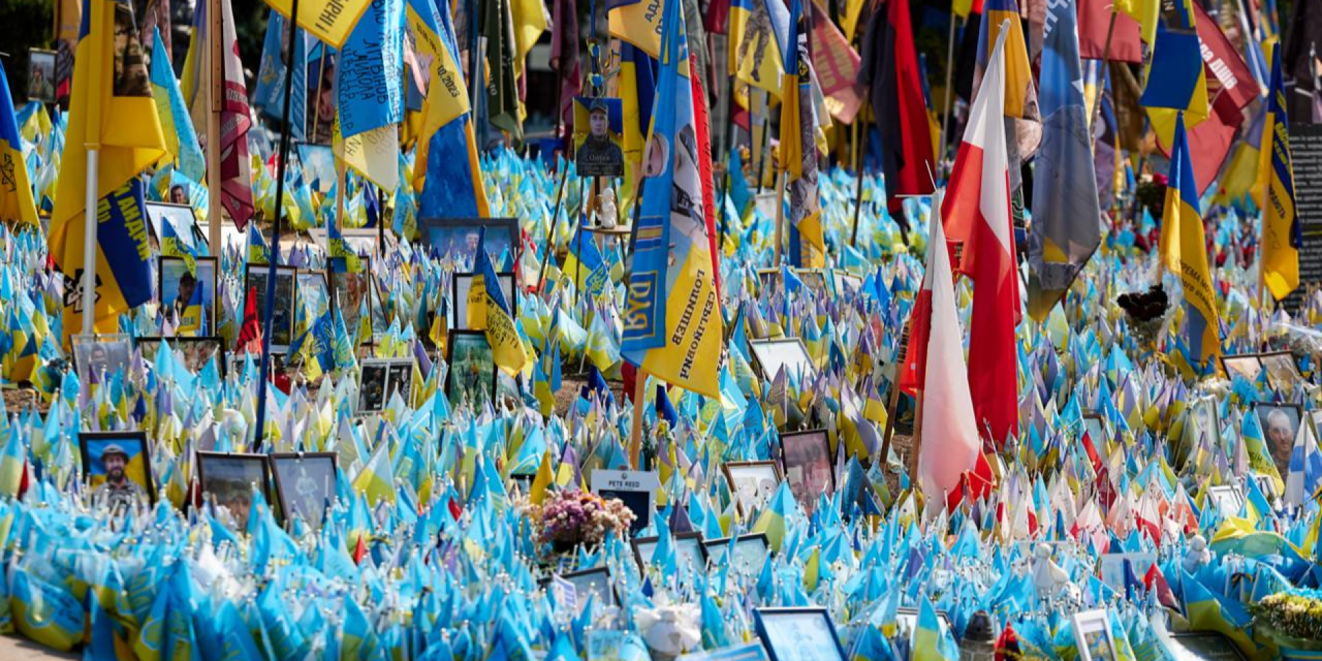 Флаги в&nbsp;честь павших воинов на&nbsp;Майдане Незалежности в&nbsp;Киеве, 2024 год (Фото: Zelenskiy / Official / Telegram)