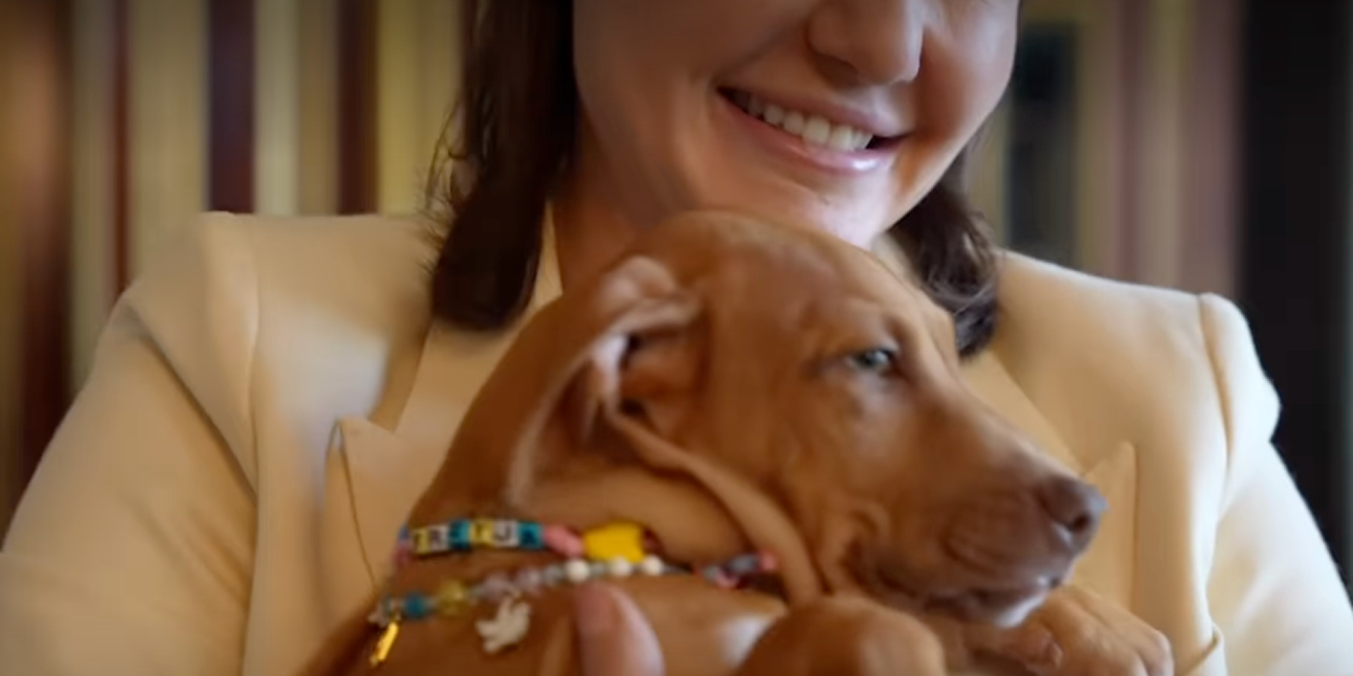 Volodymyr Zelenskyy was given a dog named Freya (Photo: Screenshot of Instagram video zelenskyy_official)