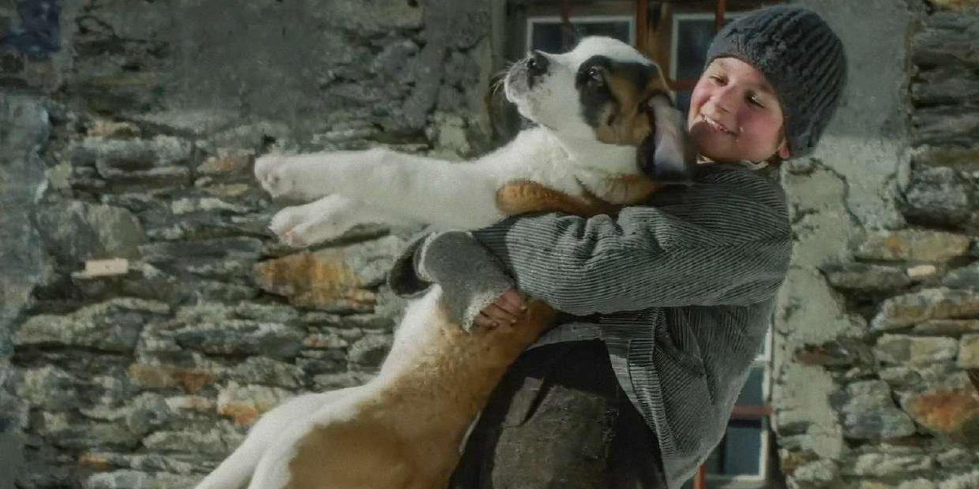 Кадр з фільму Баррі. Пес-рятівник (Фото: IMDb)