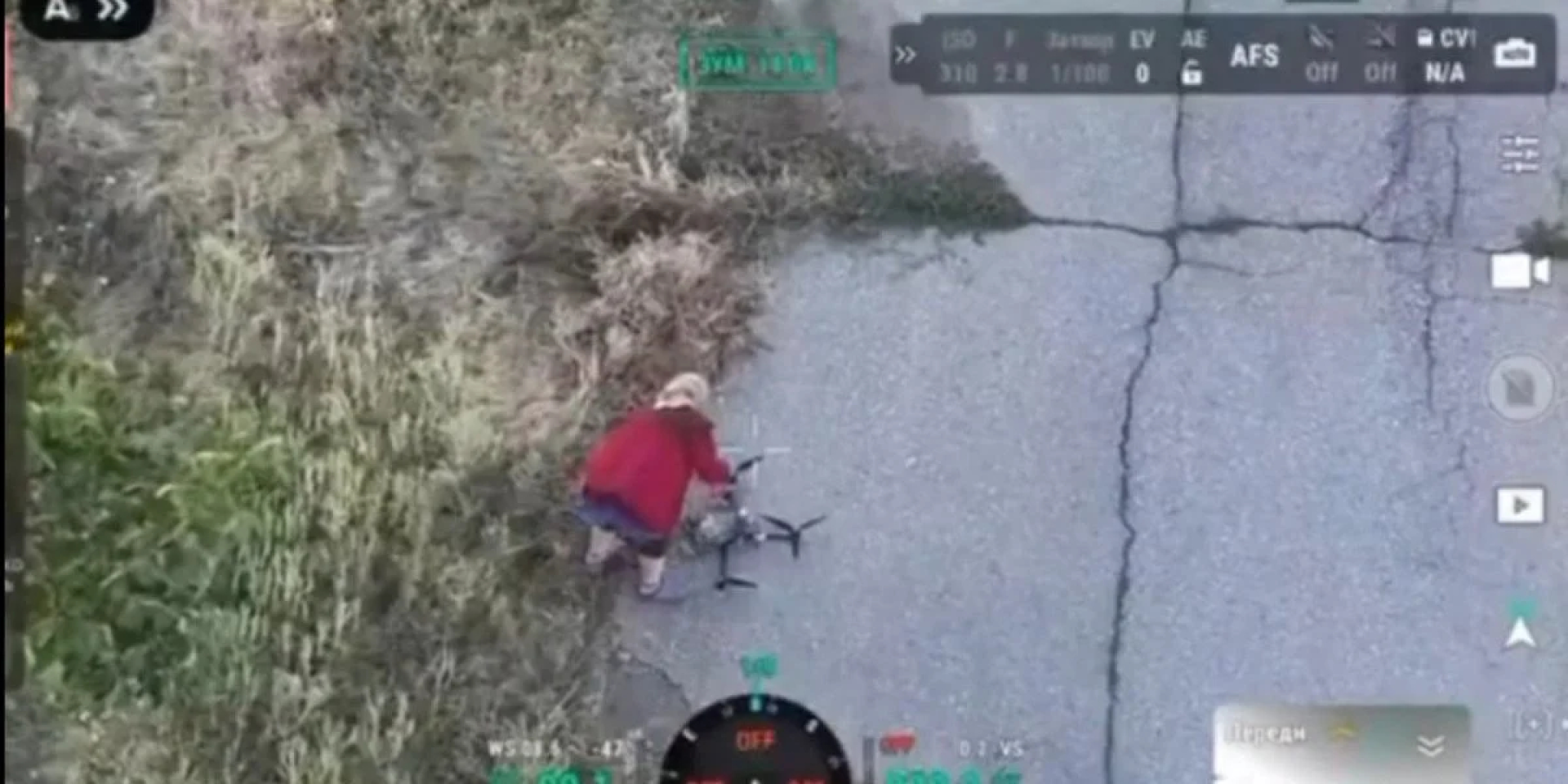 An old lady disarmed a Russian drone with her bare hands (Photo: via FLASH)