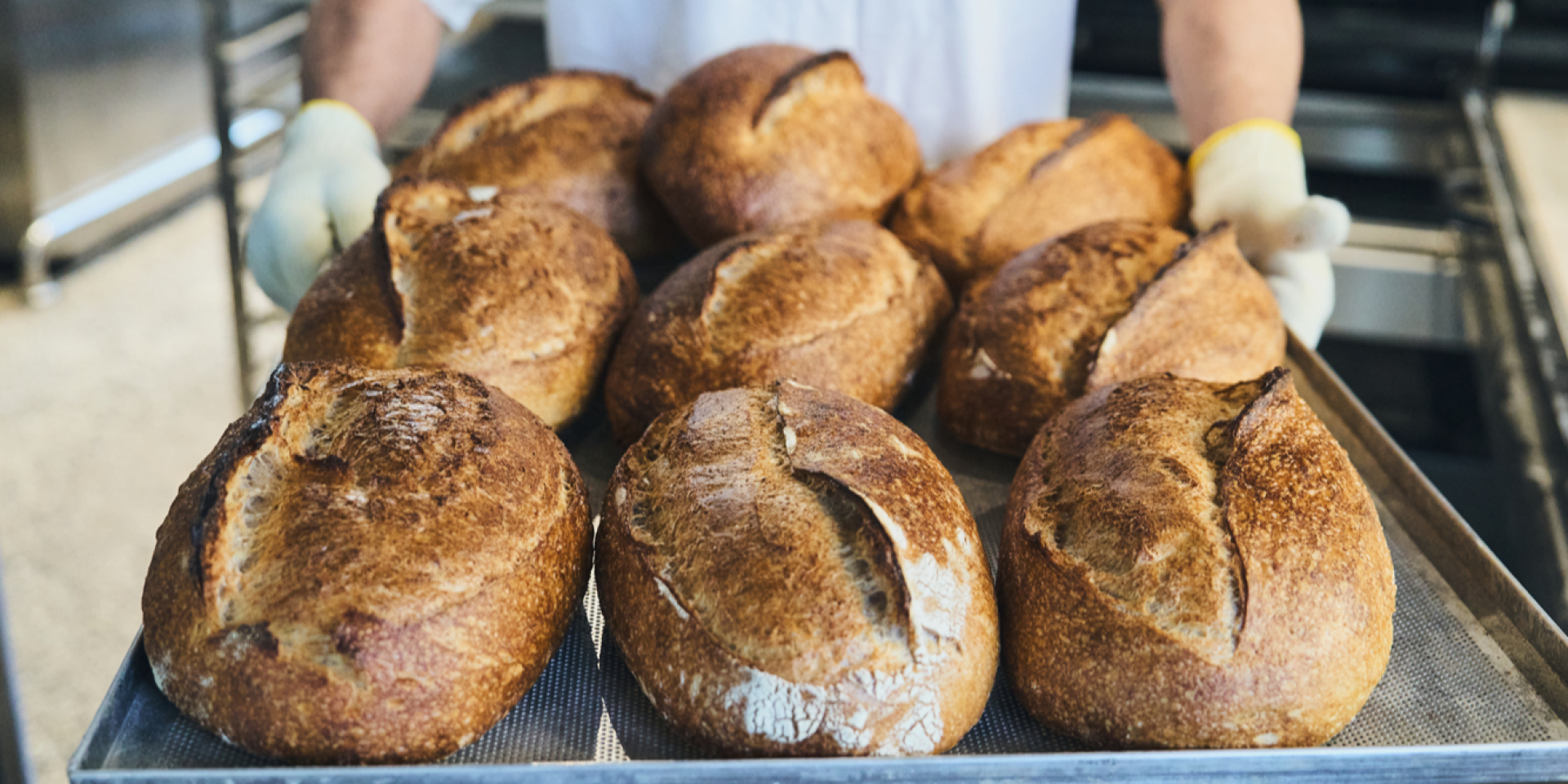 Запеклий хліб збирає кошти на підтримку Хартії (Фото: Фото надані Bakehouse)