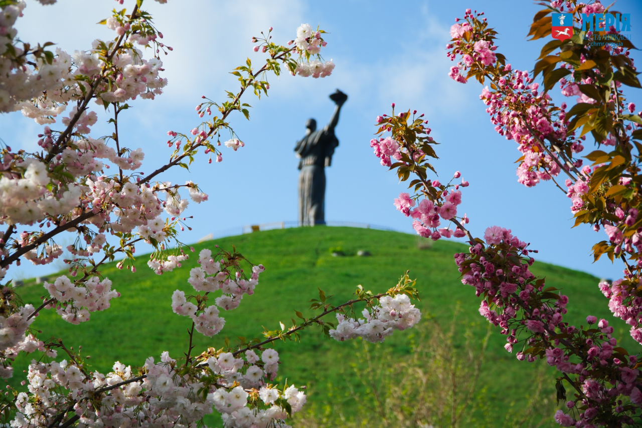 Сакуры в Черкассах (Фото: Черкасский городской совет)