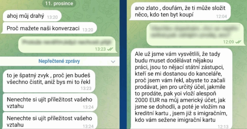 Листування з шахраями, які видавали себе за Сандру Буллок (Фото: Скриншот)