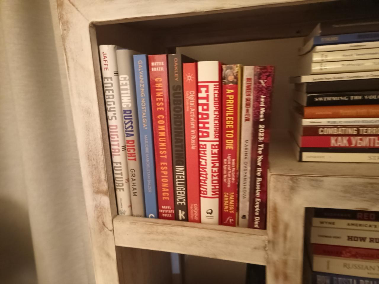 книжкова полиця Зарубіної (Фото: надано Сарою Сірілло)
