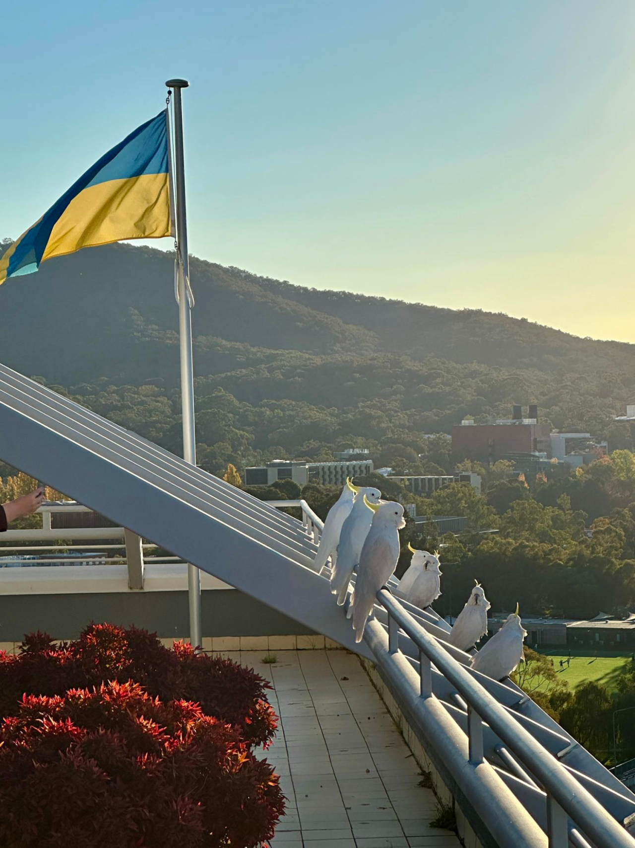 Photo from the Embassy of Ukraine in Australia (Фото: Vasyl Myroshnychenko/Facebook)