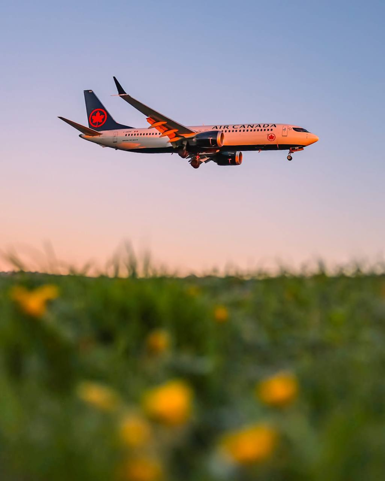 Літак Air Canada (Фото: Air Canada/Facebook)
