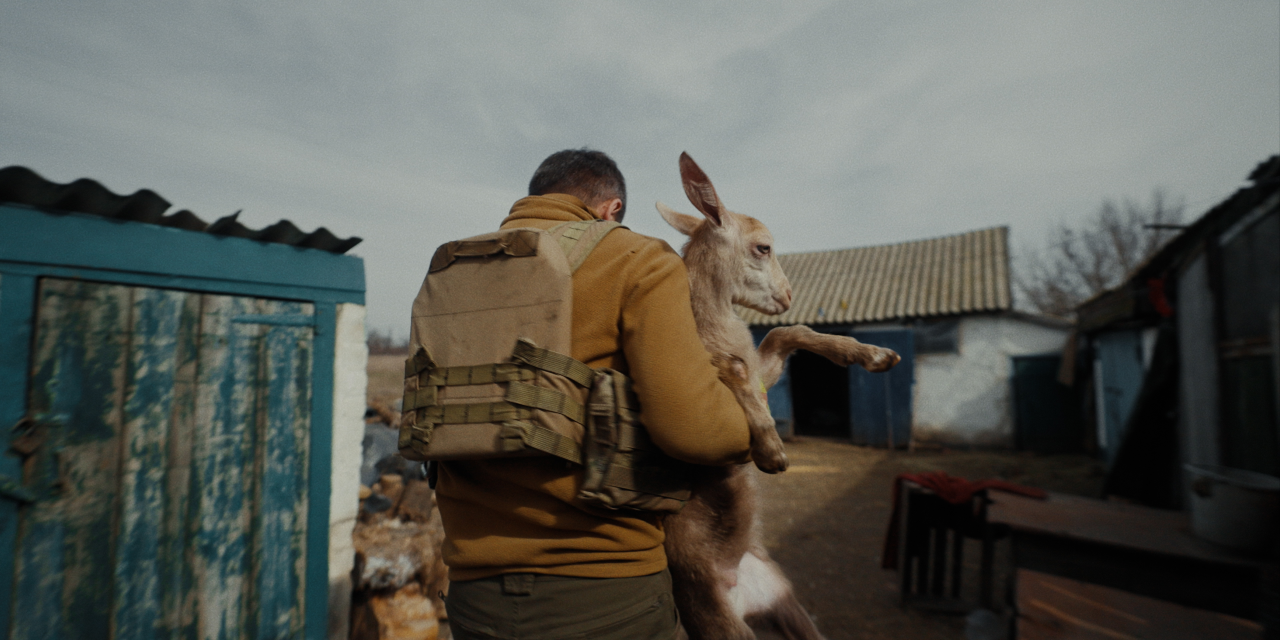 Кадр з фільму Рятуй (Фото: rescuefilm)