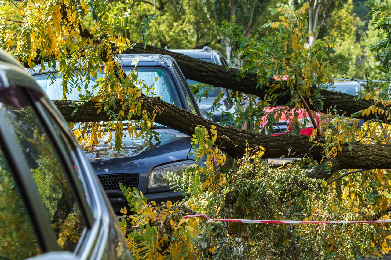 depositphotos
